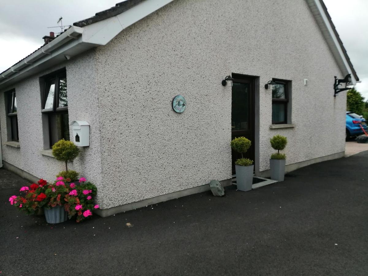 Lynn'S Lodge, International Airport 15Mins Randalstown エクステリア 写真